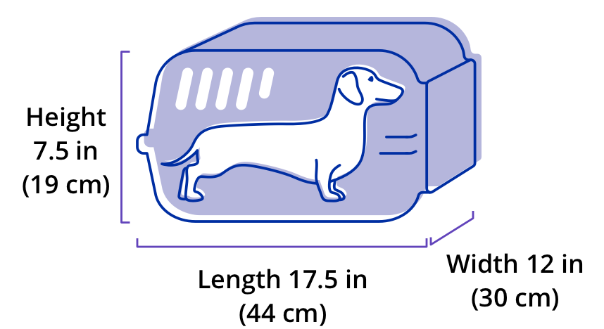 How to Ship a Dog on United Airlines?